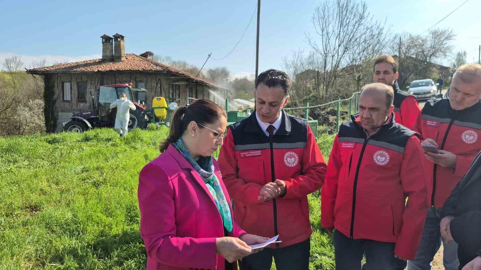 Bartın’da kahverengi kokarca kış uykusunda yok edilecek