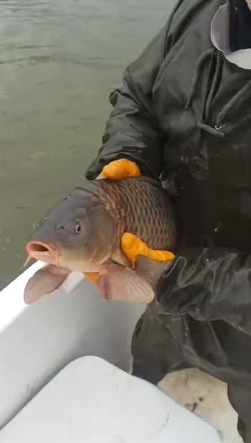 Kovada Gölü’nde kaçak avcılara ait 600 metrelik ağ ele geçirildi