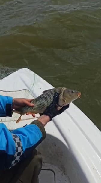 Kovada Gölü’nde kaçak avcılara ait 600 metrelik ağ ele geçirildi