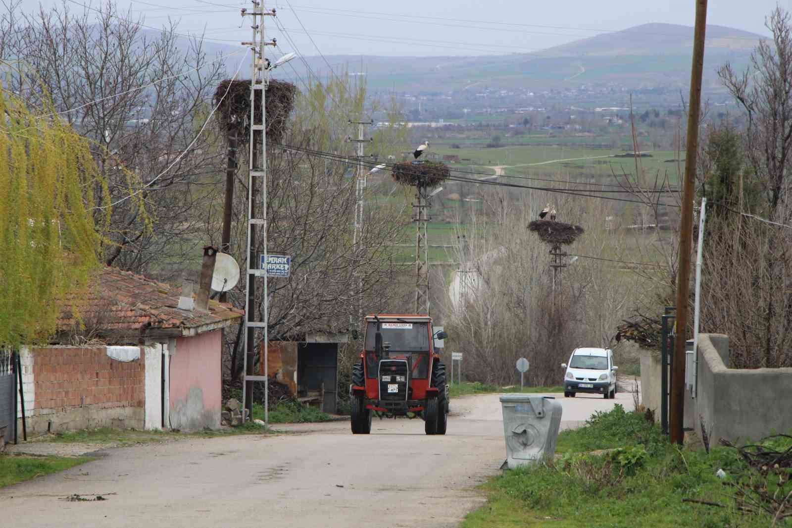 Leyleklere ‘Saygılı’ köy: Bütün elektrik direkleri yuva oldu, leylekler için tedbir alındı