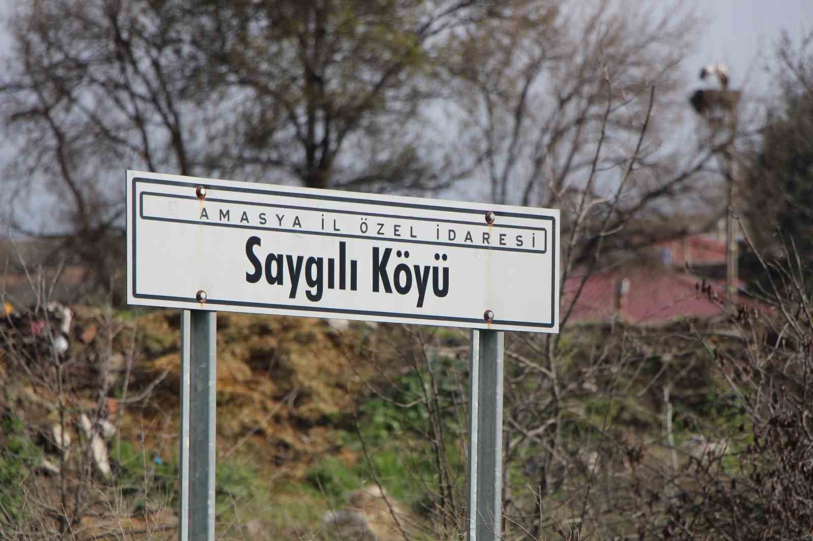 Leyleklere ‘Saygılı’ köy: Bütün elektrik direkleri yuva oldu, leylekler için tedbir alındı