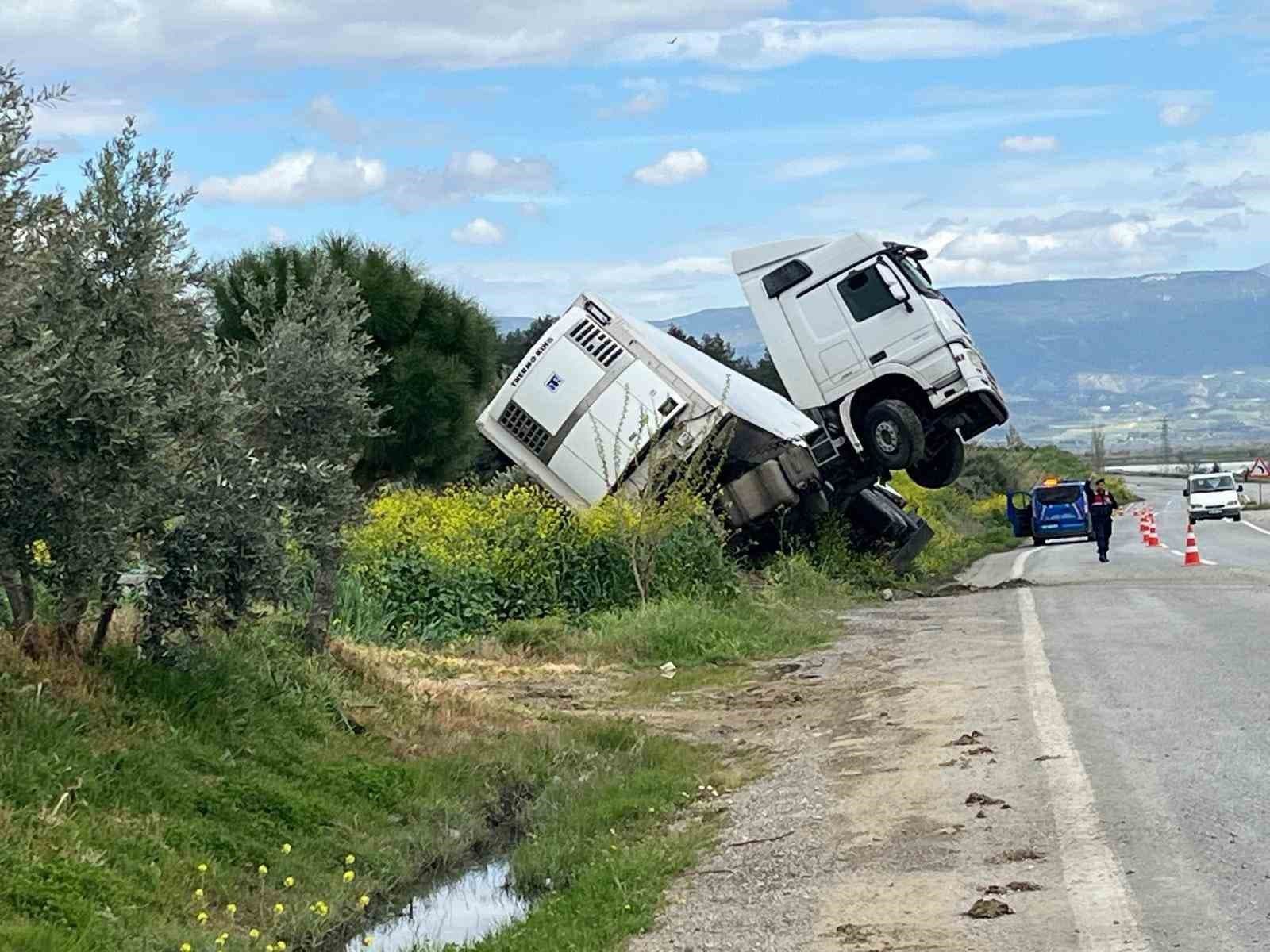 Bağa giren tır şaha kalktı