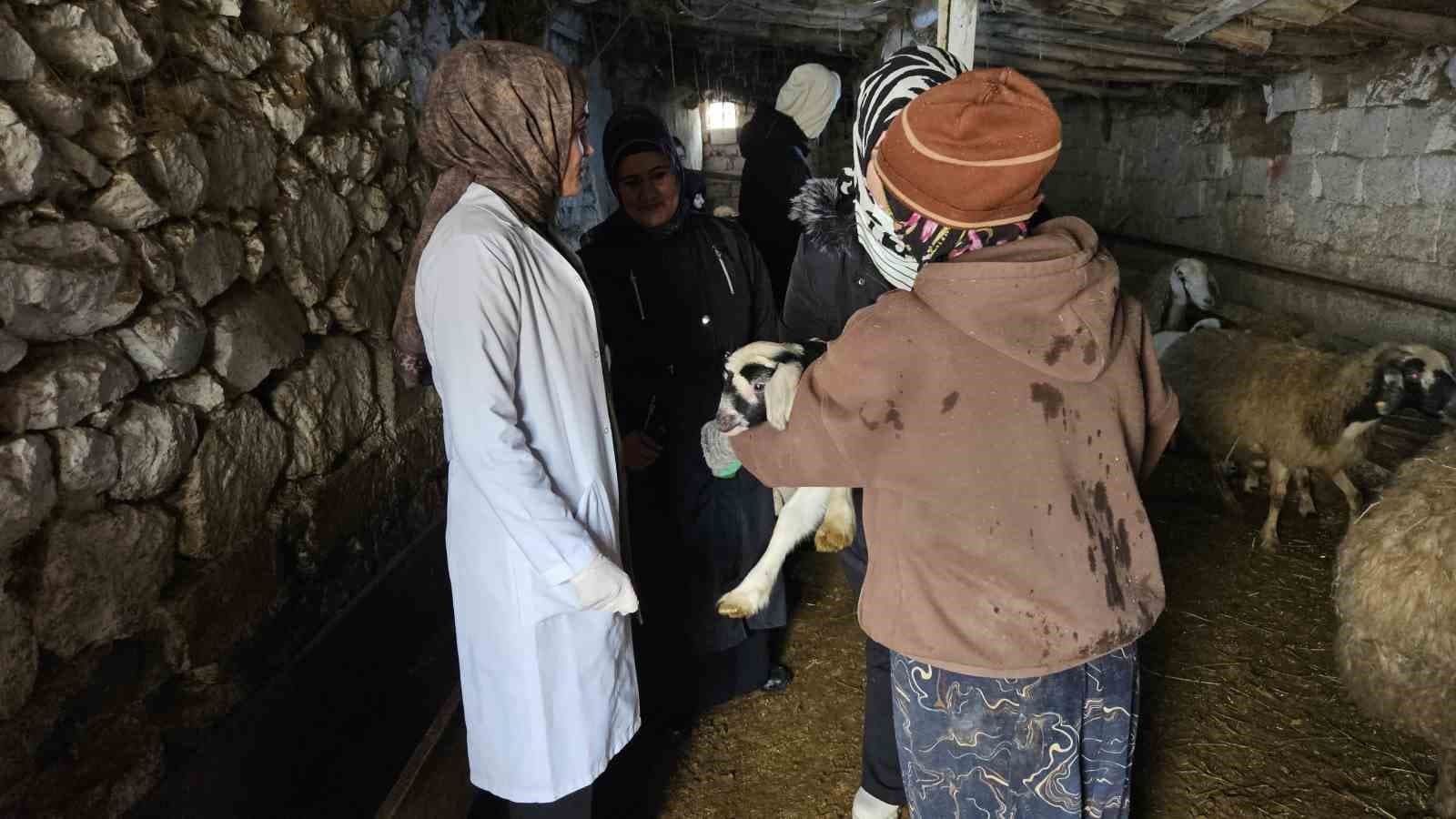 Özalp’te çiftçilere yönelik eğitim seferberliği başlatıldı