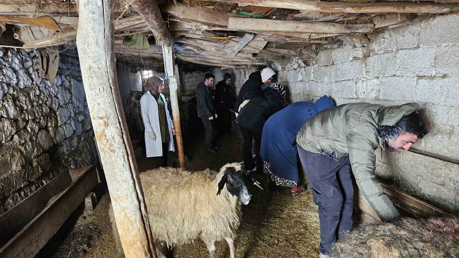 Özalp’te çiftçilere yönelik eğitim seferberliği başlatıldı