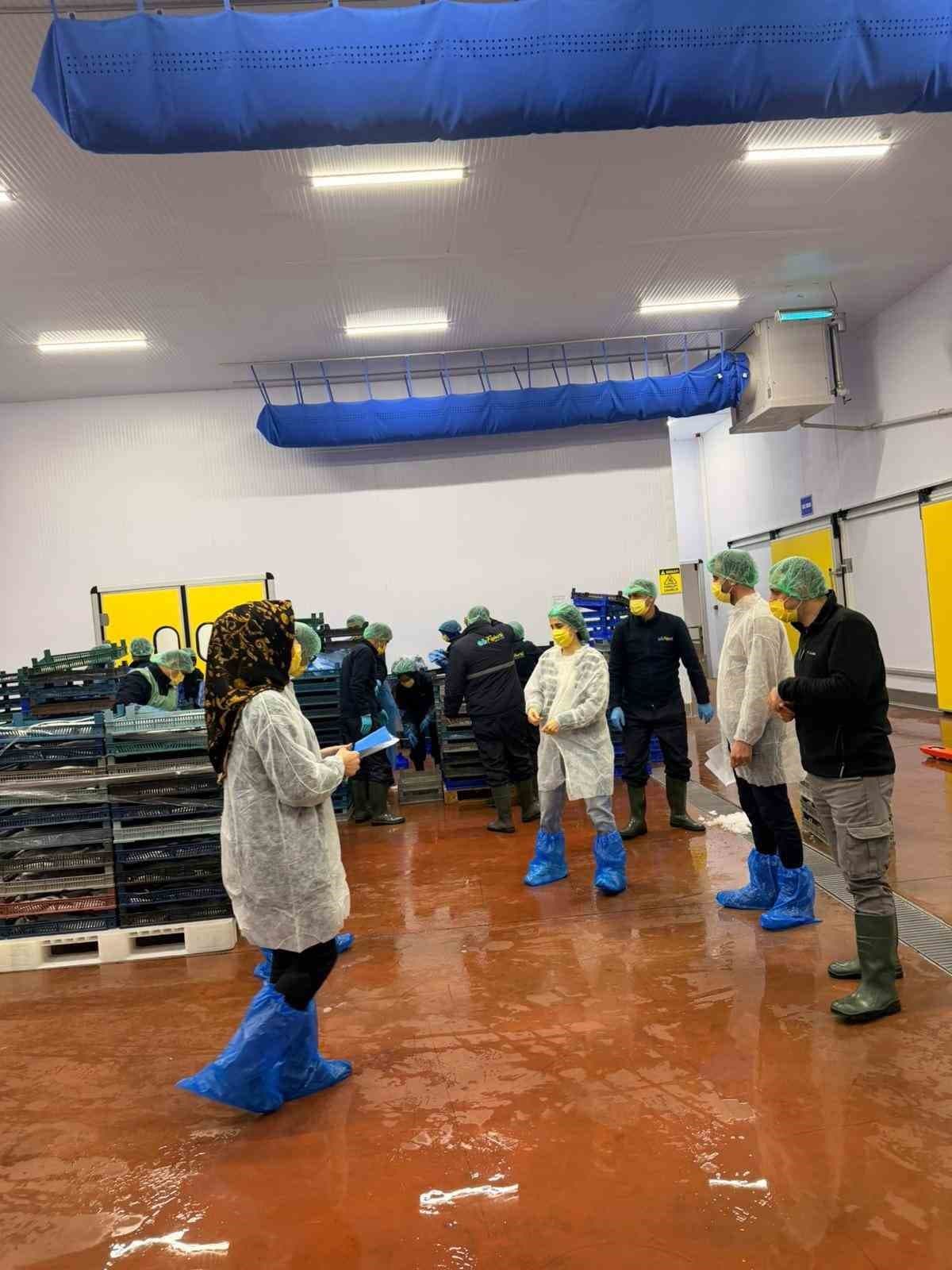 Bingöl’de balık işleme tesisleri denetlendi