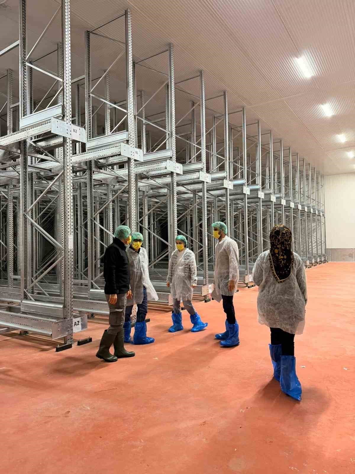 Bingöl’de balık işleme tesisleri denetlendi