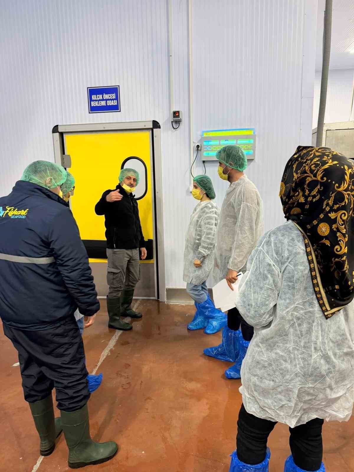 Bingöl’de balık işleme tesisleri denetlendi