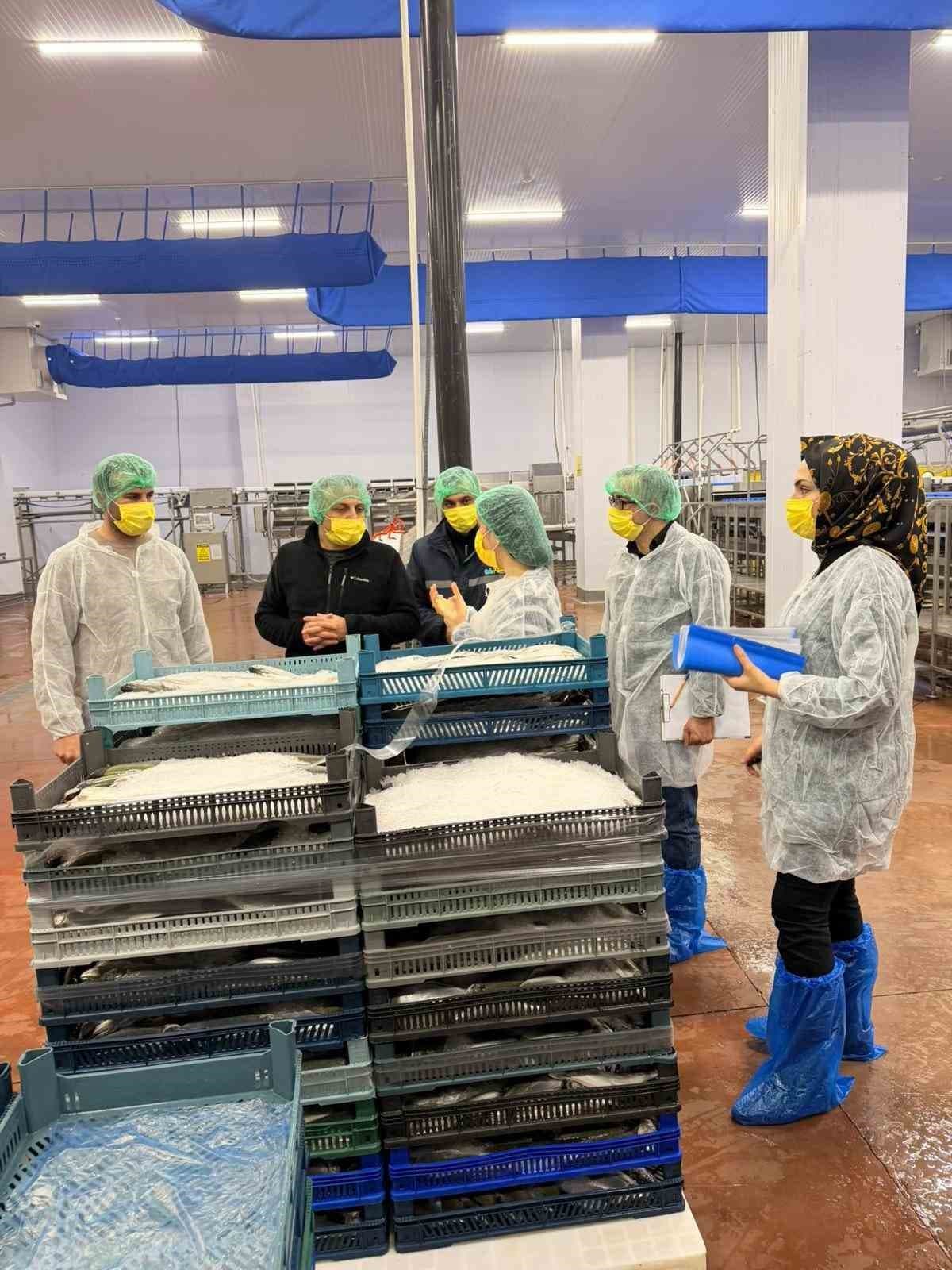 Bingöl’de balık işleme tesisleri denetlendi