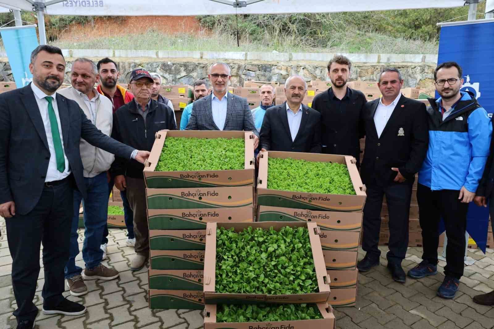 İşlenmeyen araziler üretime dönüyor: Çiftçilere yüzde 75 hibeli fide desteği