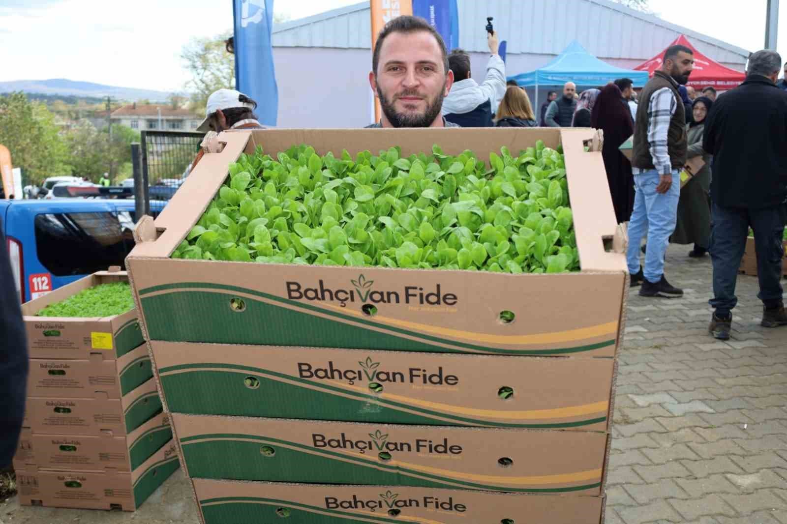 İşlenmeyen araziler üretime dönüyor: Çiftçilere yüzde 75 hibeli fide desteği