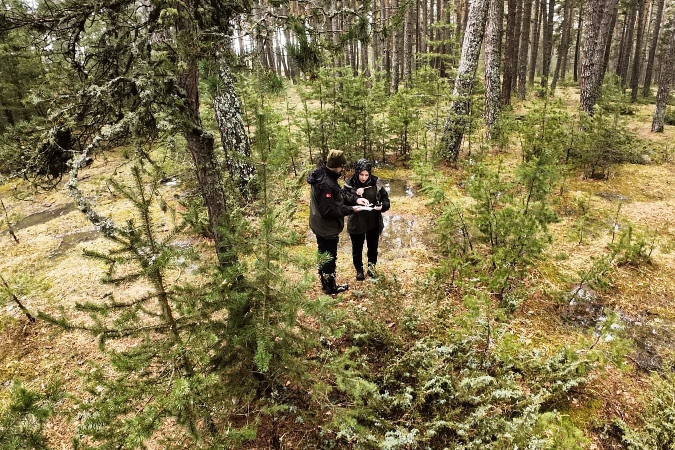 Oryantiring parkurunda Düzce ikinci oldu