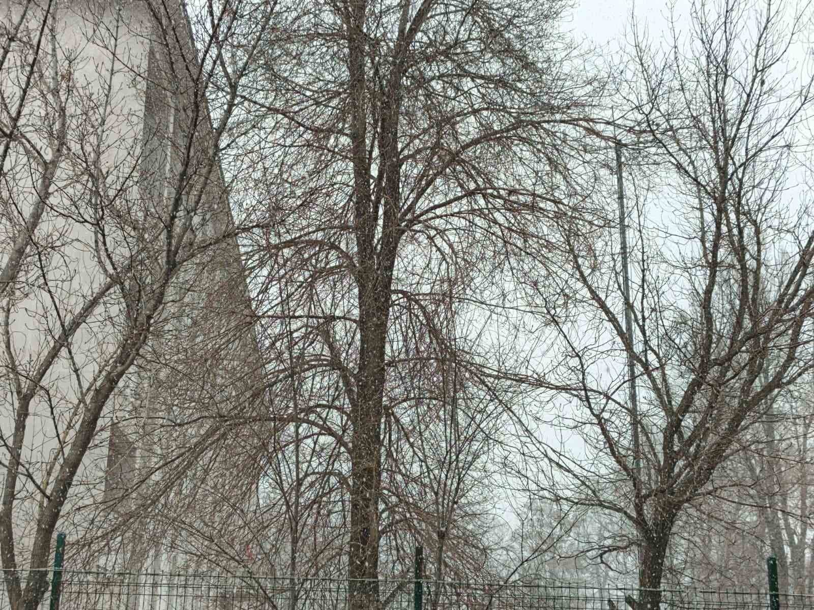 Bahar gelmeden kış geri döndü; Diyadin’e kar sürprizi