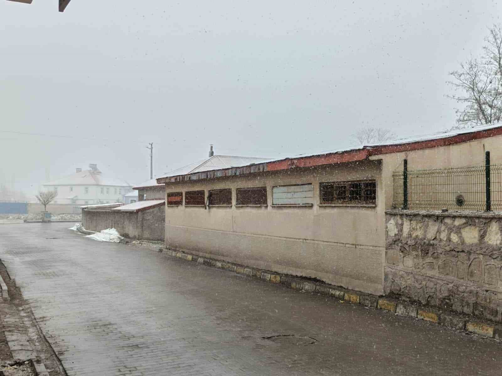 Bahar gelmeden kış geri döndü; Diyadin’e kar sürprizi