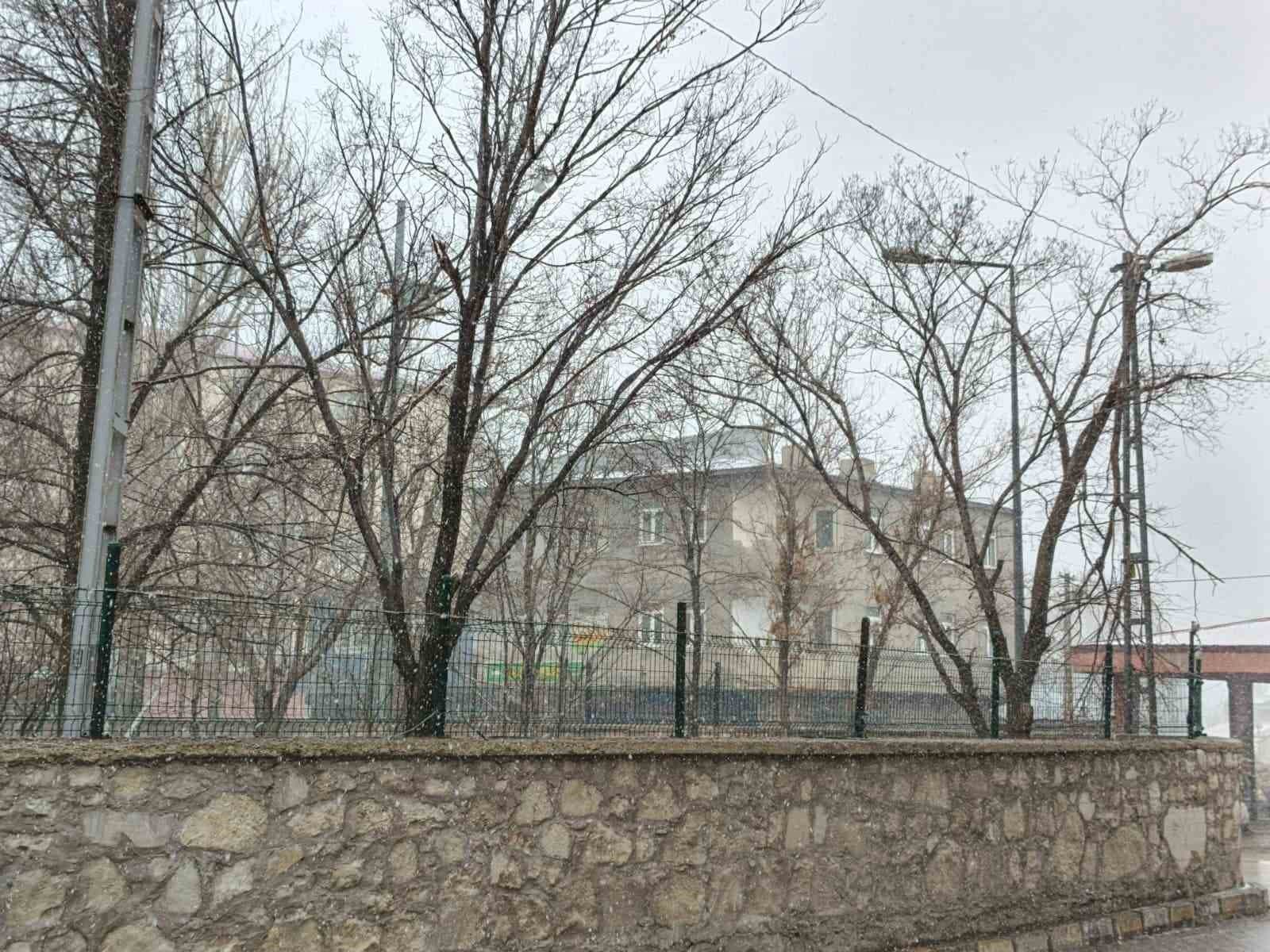 Bahar gelmeden kış geri döndü; Diyadin’e kar sürprizi