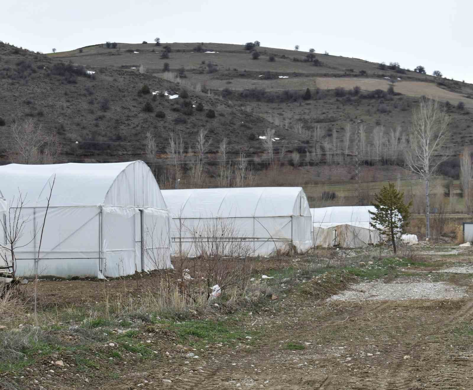 Bayburt’ta sebze üretimine katkı sağlayacak Eko-Köy 2 Projesi hayata geçiyor