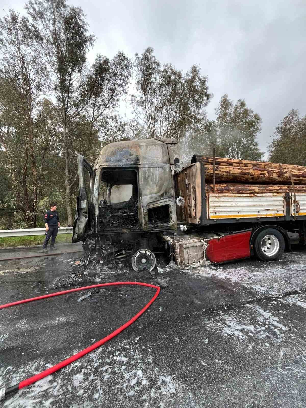 Tomruk yüklü tır alev topuna döndü
