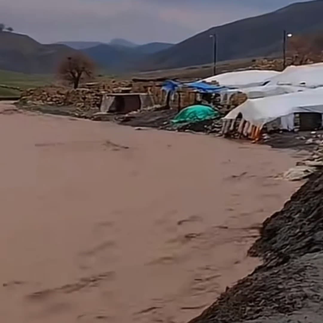 Siirt’te sağanak yağış hayvancılığı olumsuz etkiledi