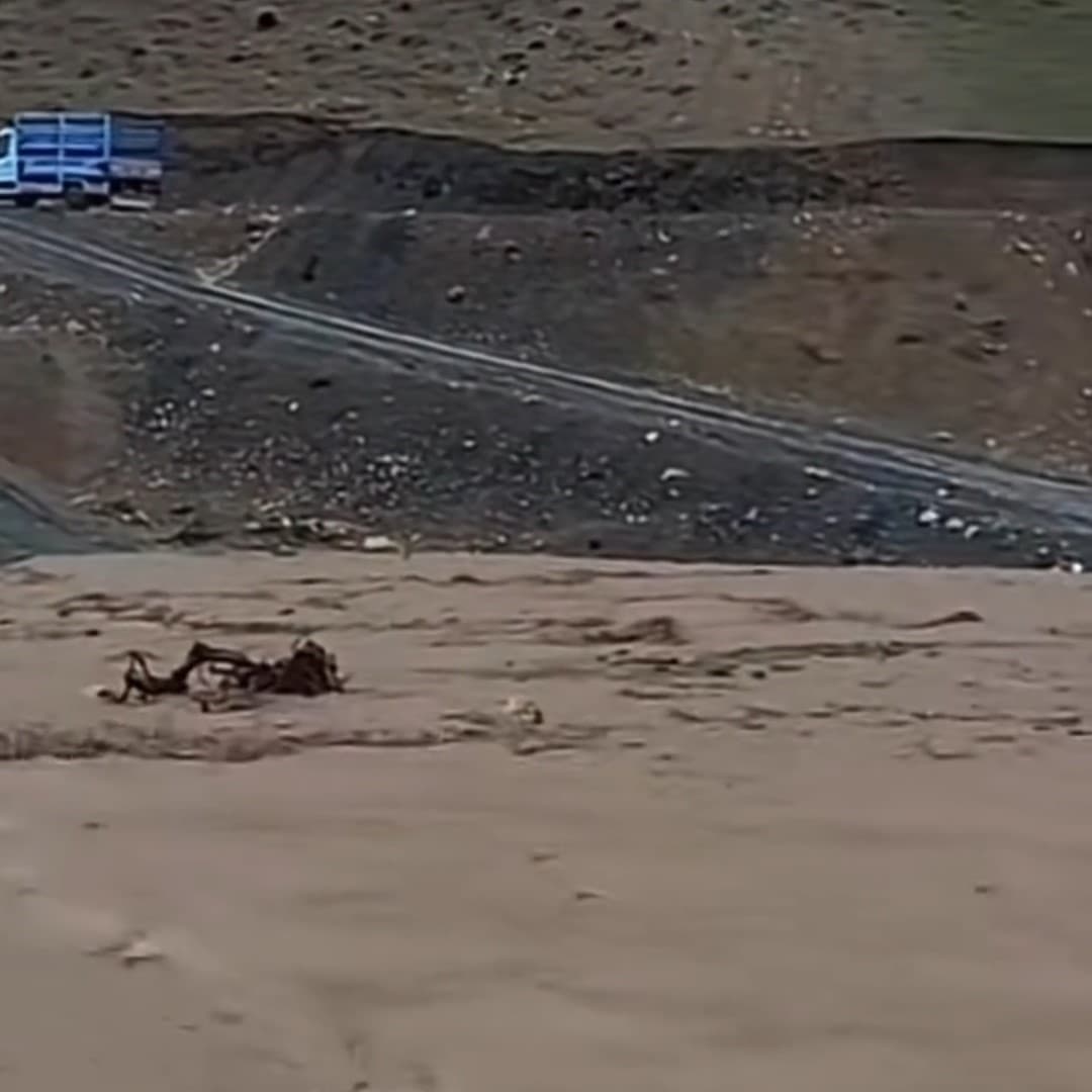 Siirt’te sağanak yağış hayvancılığı olumsuz etkiledi