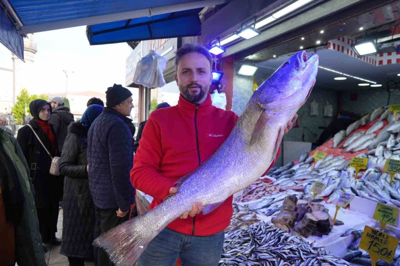 Karadeniz’de 120 santimlik dev minekop avlandı, 6 bin TL’ye satıldı