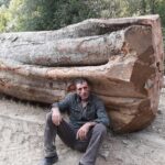 Kestiği ağacın altında kalarak ölen işçi Bartın’da toprağa verildi