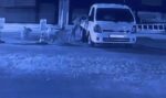Sokak köpekleri park halindeki kamyoneti parçaladı: O anlar kamerada
