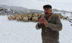 Emektar çoban koyunlara yaz kış kaval çalıyor