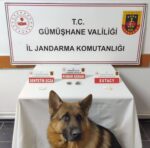 Jandarma, Rize’den Gümüşhane’ye uyuşturucu getirenleri yakaladı