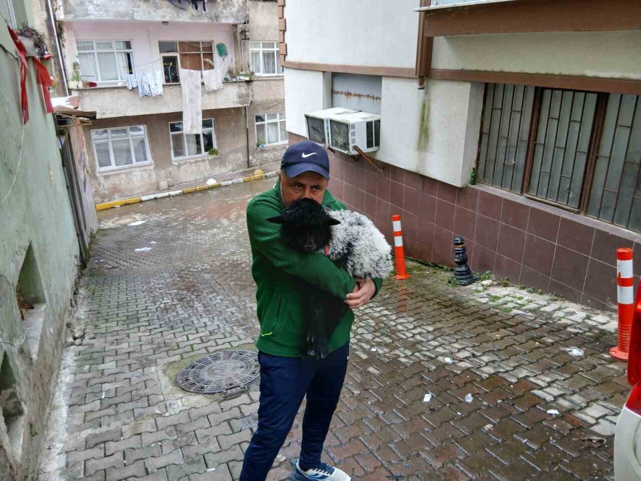 Sahiplendiği kuzuyla şehrin fenomeni oldu