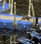 Tokat’ta nesli tükenme tehlikesi altındaki su samuru görüntülendi