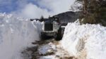 Artvin’de kar yağışı durdu, köylerde yol açma çalışmaları sürüyor
