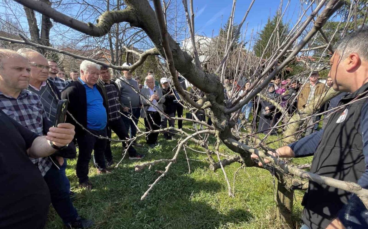 Bartın’da çiftçilere uygulamalı budama eğitimi