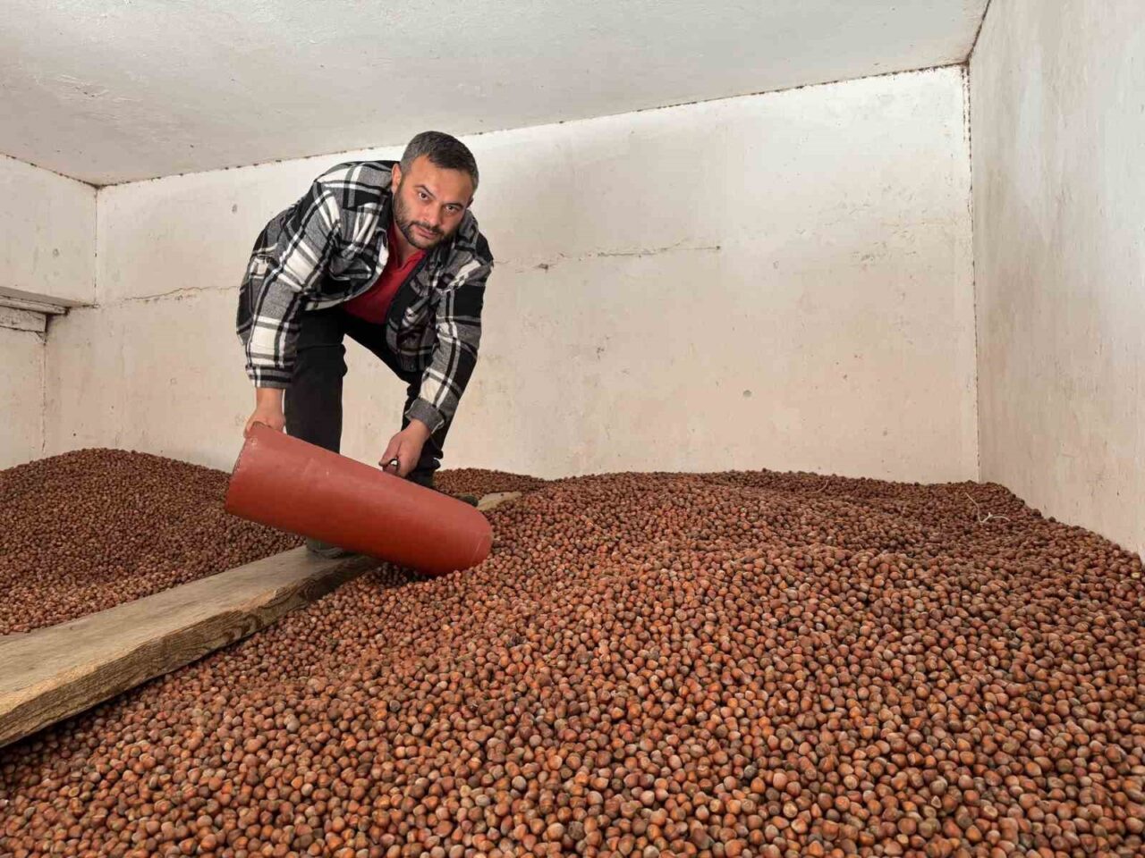 Fındık fiyatları rekor seviyeye ulaştı