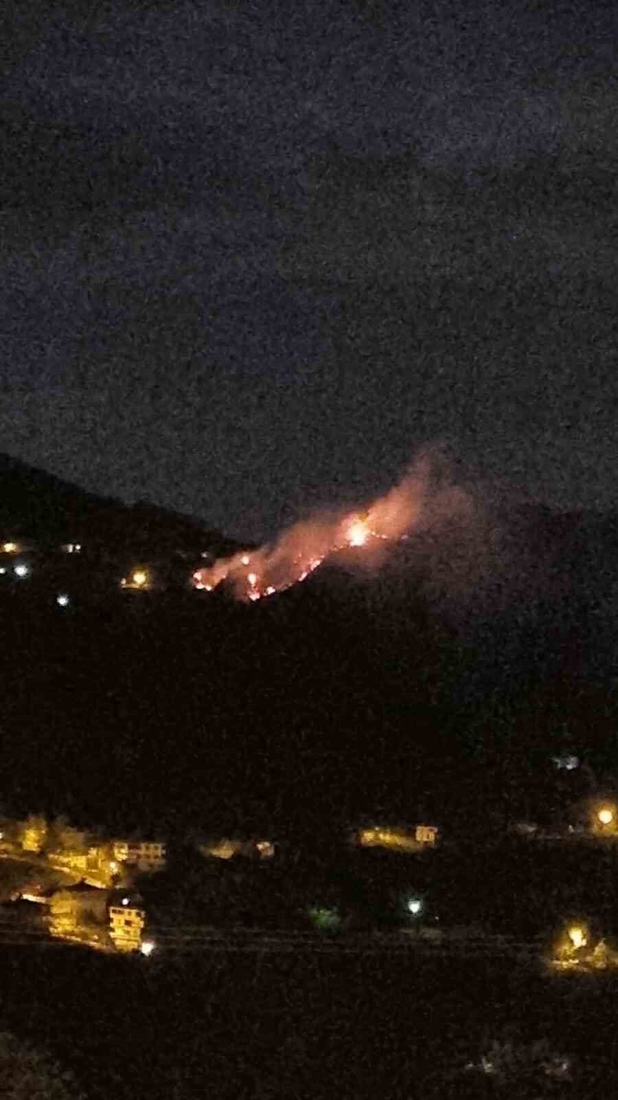 Giresun’un Espiye ilçesinde gece çıkan örtü yangını korkuttu