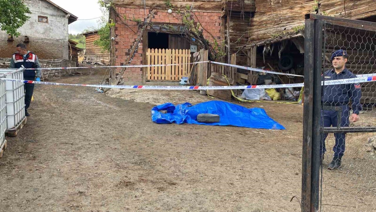 Kastamonu’da muhtar cinayetinde sanığın yargılanmasına devam edildi