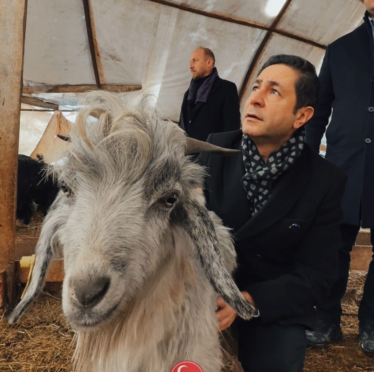 Milletvekili Bulut: "Biz bu ülkenin hayvanına, kuşuna, her şeyine aşığız"