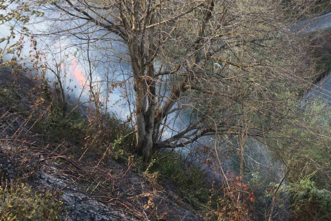 Rize’de anız yangını