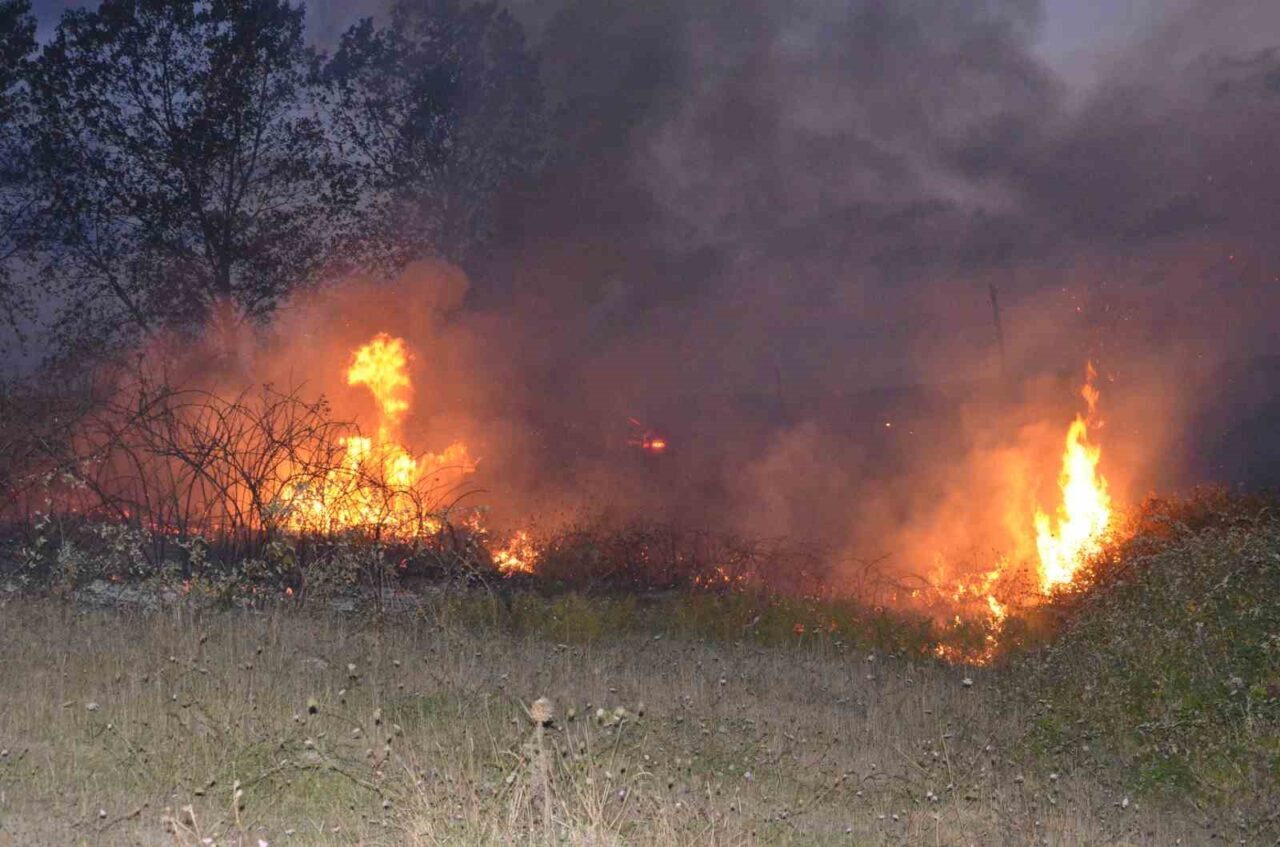 Sinop’ta örtü yangını