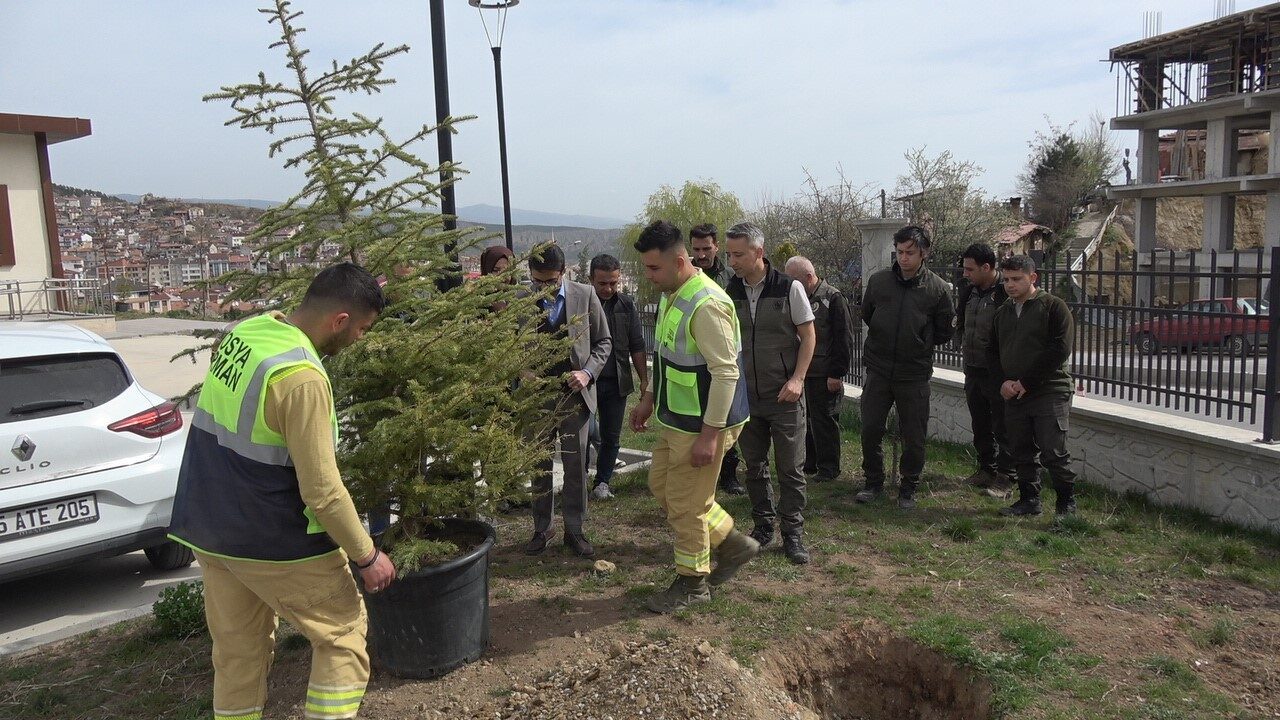 Tosya Adalet Sarayı bahçesinde fidanlar toprakla buluşturuldu