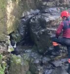 Trabzon’da dereye düşen köpeği itfaiye personeli kurtardı