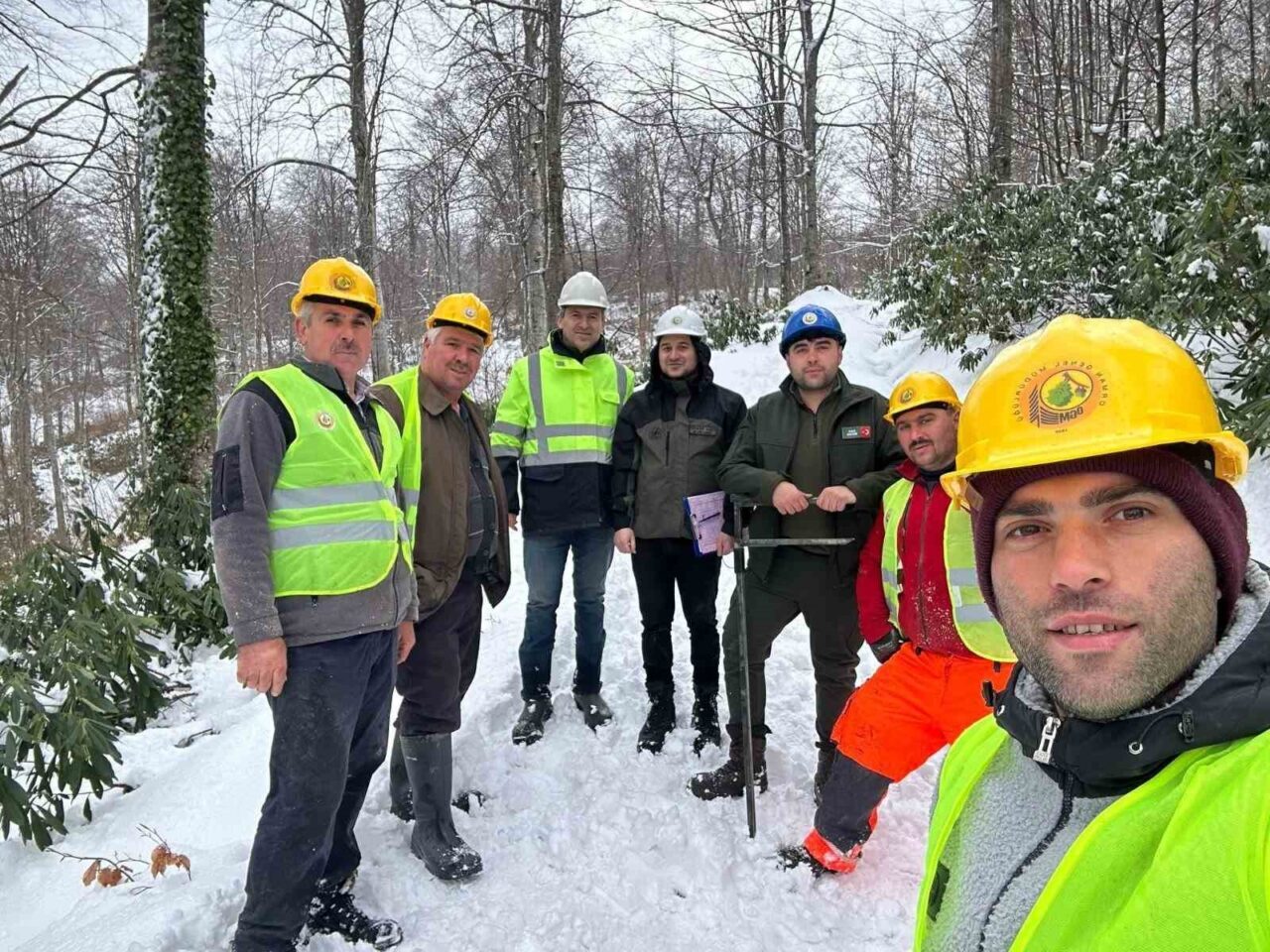 Türkeli’de sürdürülebilir orman üretimi için yeni adım