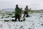 Amasya Nisan’da kara kışı yaşadı: ekipler bahçelerde zarar tespit çalışması başlattı