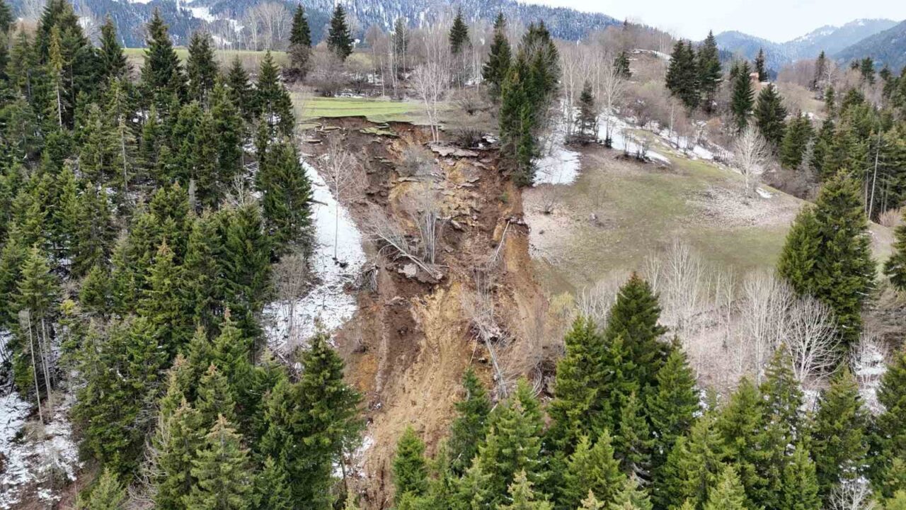 Ardanuç’ta ormanlık alanda yaşanan heyelan korkuttu