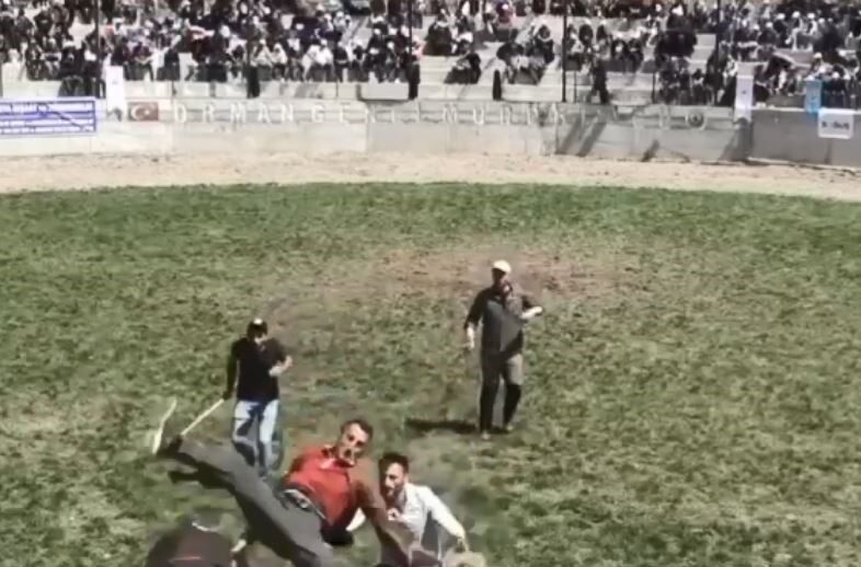 Artvin’de 500 kilogramlık boğa bakıcısını  hastanelik etti