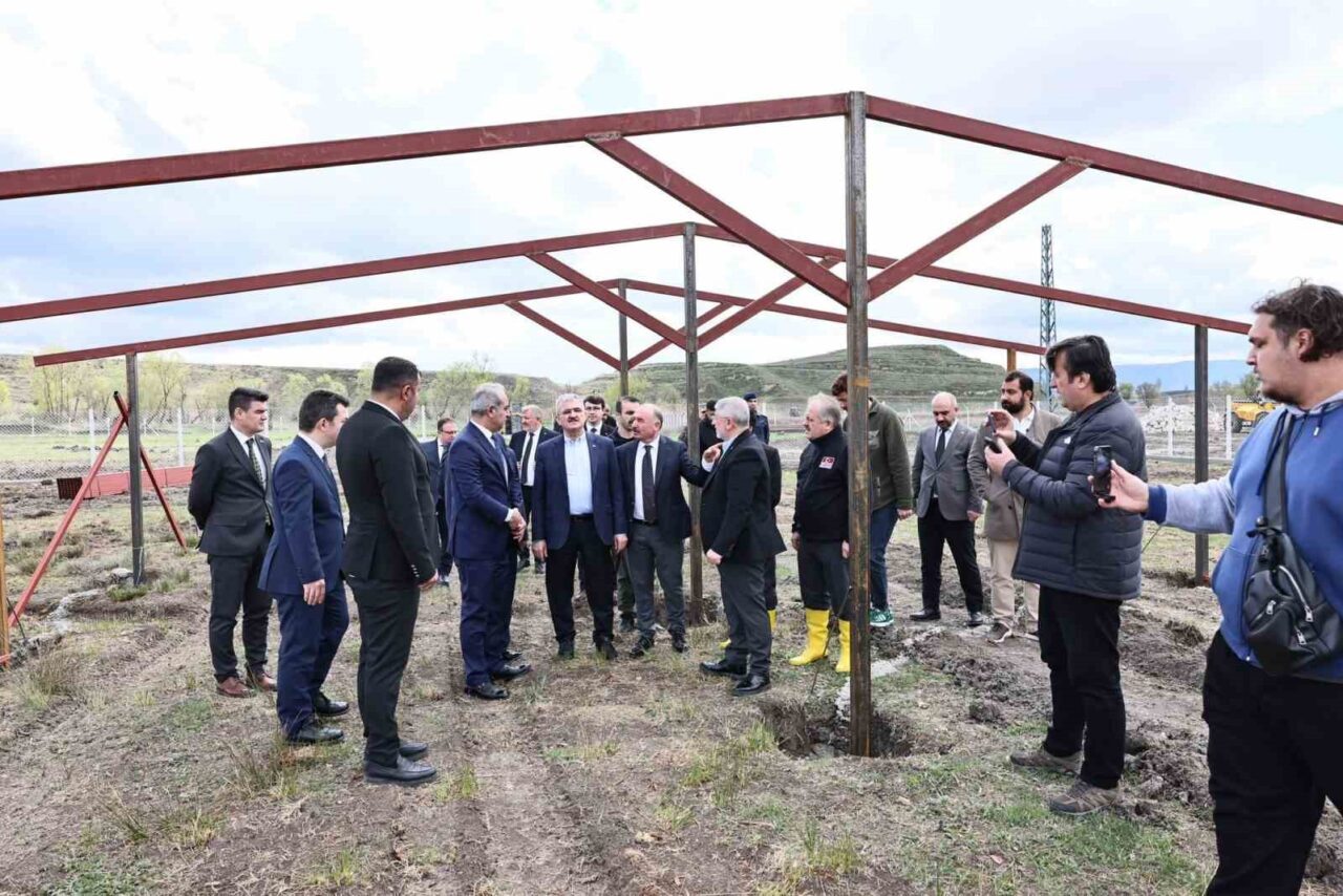 Çorum’da atıklardan sokak hayvanları için mama üretilecek