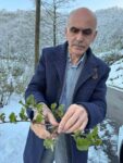 Giresun Ziraat Odası Başkanı Nurittin Karan: "Fındıkta nisan karı zirai donla rekolte kaybına neden oldu"
