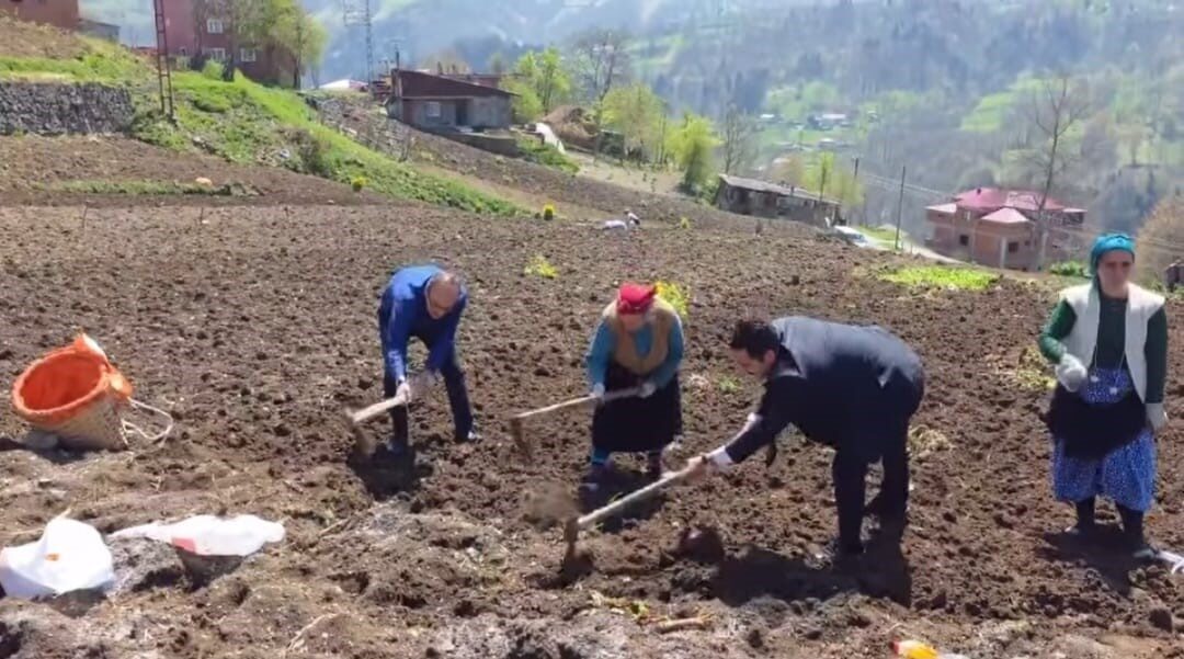 Kaymakam ve belediye başkanı tarlaya girdi, izleyenleri tebessüm ettiren anlar ortaya çıktı