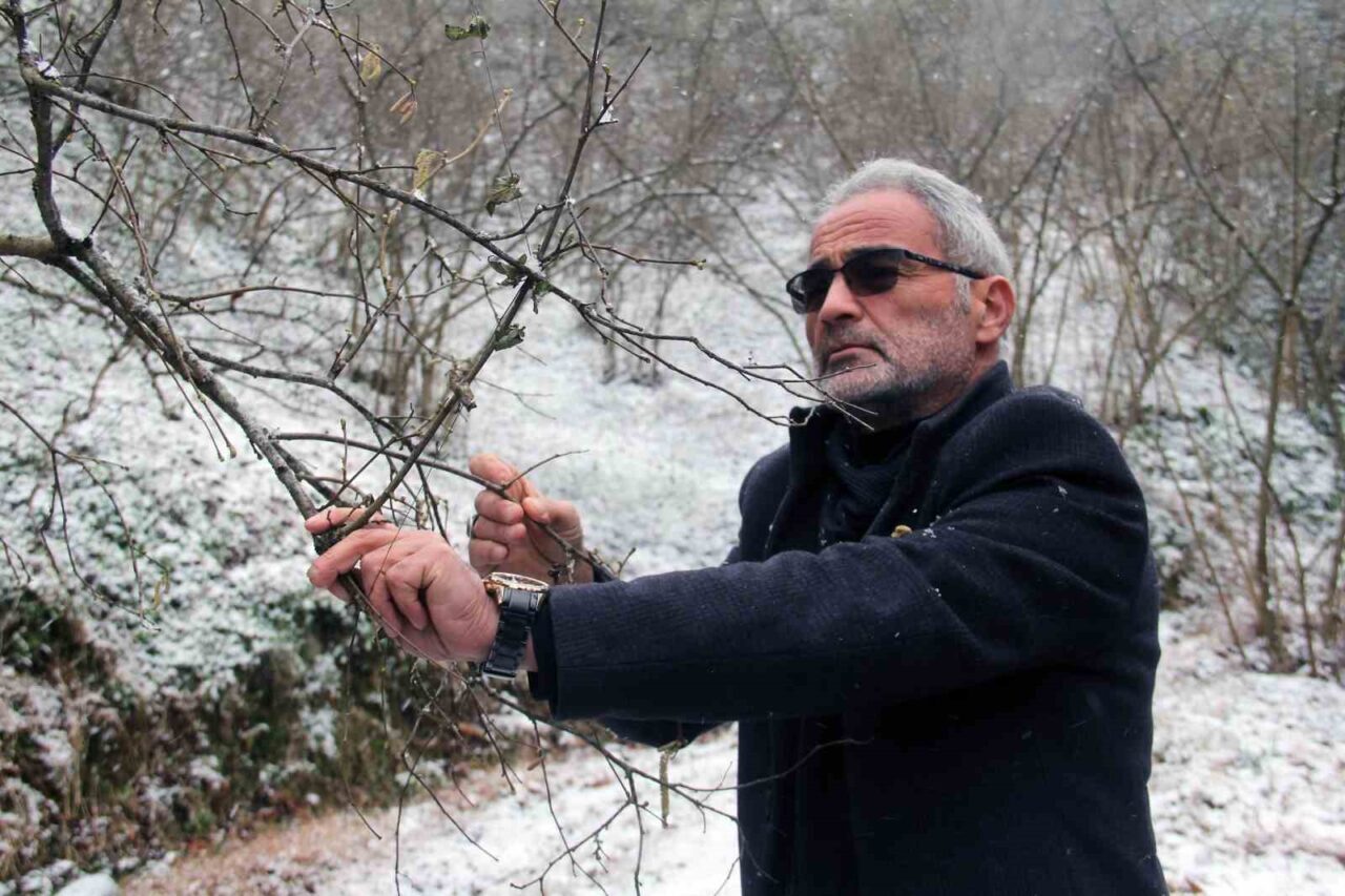 Nisan karı fındık üreticisini endişelendirdi