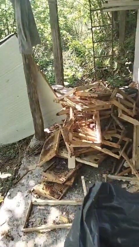 Rize’de ayı soğuk hava deposuna saldırdı