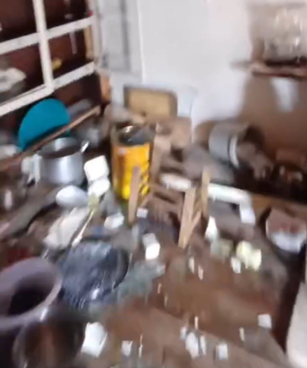 Rize’de kış uykusundan uyanan ayılar bu kez Anzer Yaylası’ndaki evleri talan etti