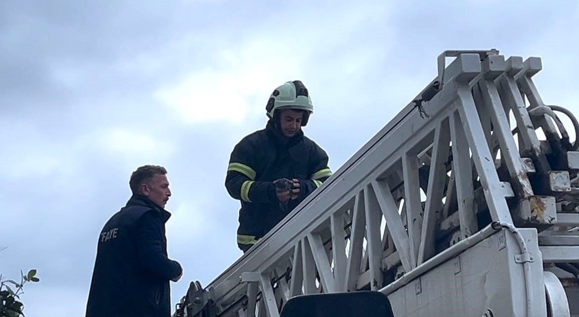 Sinop’ta çamaşır iplerine dolanan güvercin kurtarıldı